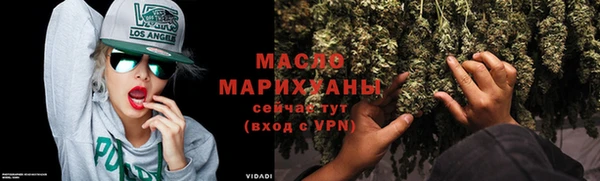 mix Инта