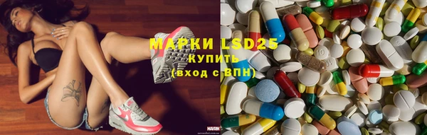 mix Инта