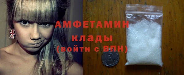 mix Инта