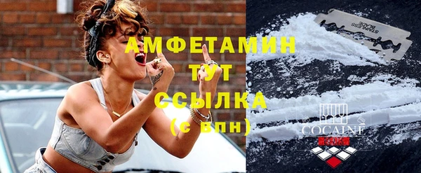 mix Инта