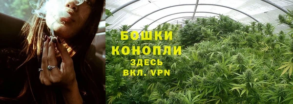 mix Инта