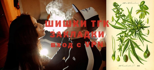 mix Инта