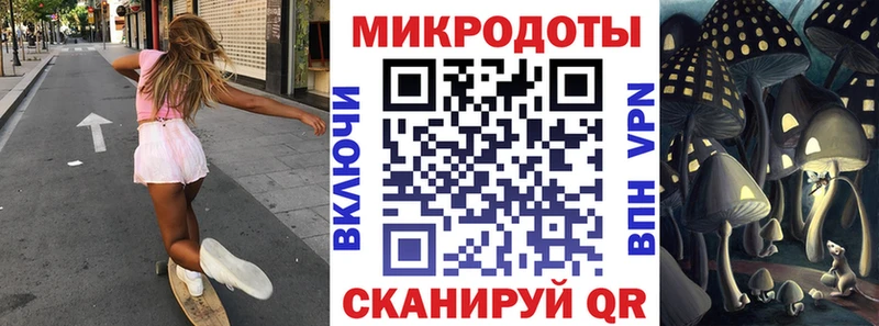 Галлюциногенные грибы Psilocybe  Купить где  Кирс 